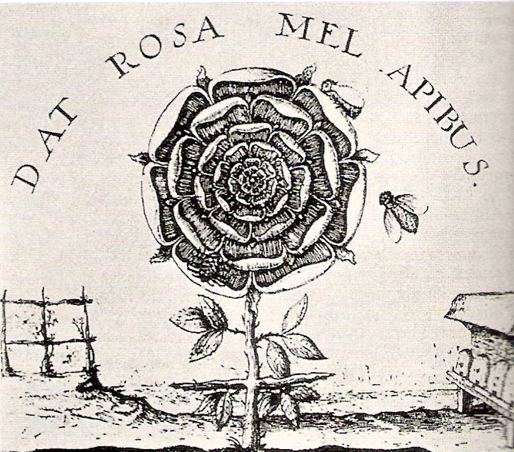 Rosa Mistica- R.Fludd Summum Bonum rosa mistica